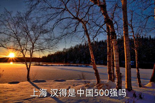  上海 漢得是中國500強(qiáng)嗎