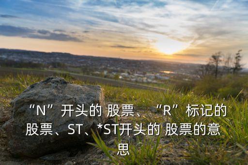 “N”開頭的 股票、“R”標(biāo)記的 股票、ST、*ST開頭的 股票的意思