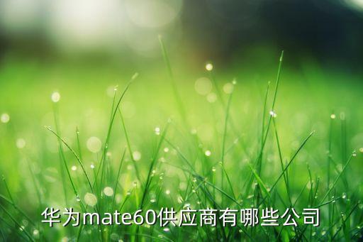 華為mate60供應(yīng)商有哪些公司