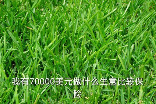 我有70000美元做什么生意比較保險