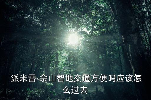  派米雷·佘山智地交通方便嗎應(yīng)該怎么過(guò)去