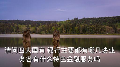 請問四大國有 銀行主要都有哪幾塊業(yè)務(wù)各有什么特色金融服務(wù)嗎