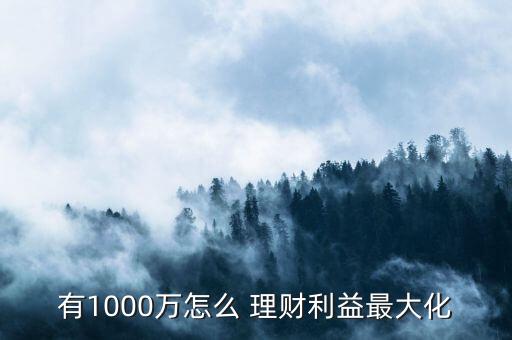 有1000萬怎么 理財(cái)利益最大化