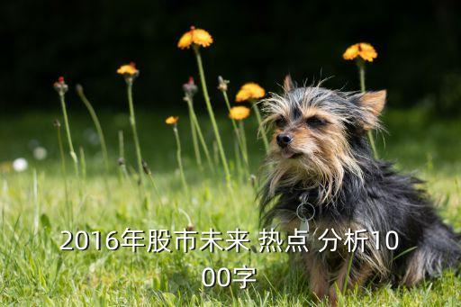 2016年股市未來 熱點(diǎn) 分析1000字