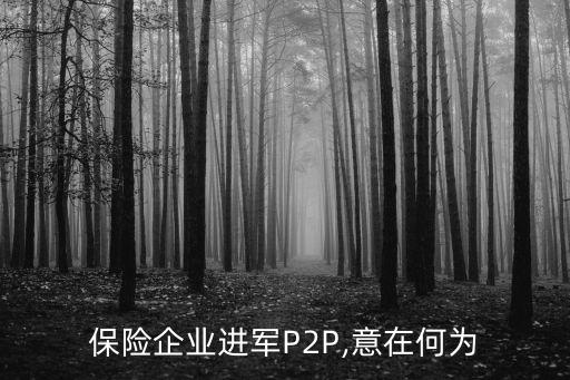 p2p引入保險(xiǎn)公司,保險(xiǎn)公司講專題前的引入