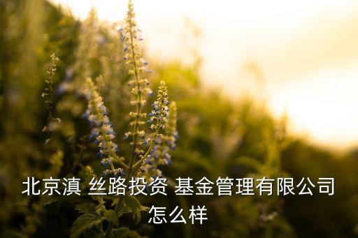 北京滇 絲路投資 基金管理有限公司怎么樣