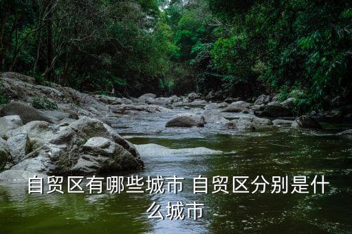 上海自貿區(qū)可復制可推廣的條件