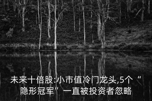 未來十倍股:小市值冷門龍頭,5個“隱形冠軍”一直被投資者忽略