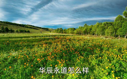 浙江華辰能源有限公司,內(nèi)蒙古華辰能源科技有限公司