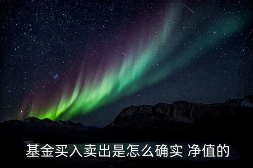 161720基金凈值好買,基金161720今天的凈值