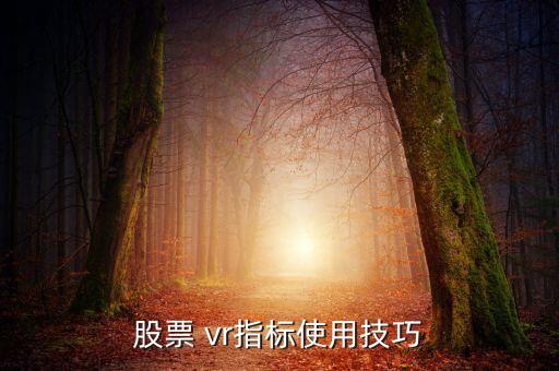 股票 vr指標(biāo)使用技巧