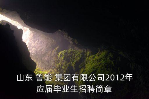 山東 魯能 集團有限公司2012年應(yīng)屆畢業(yè)生招聘簡章