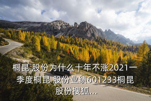 桐昆 股份為什么十年不漲2021一季度桐昆 股份業(yè)績601233桐昆 股份搜狐...