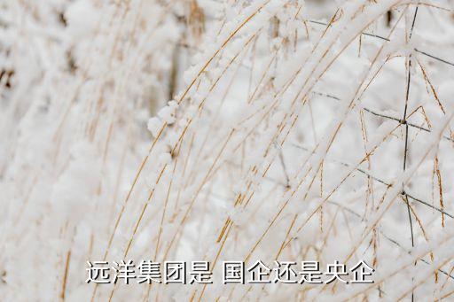  遠(yuǎn)洋集團(tuán)是 國(guó)企還是央企