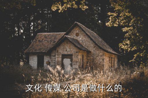 傳媒公司服務(wù)特征摘要