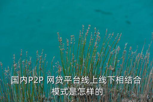 中國網(wǎng)貸運營模式調(diào)研報告