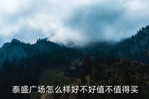  泰盛廣場(chǎng)怎么樣好不好值不值得買