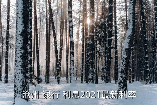 滄州銀行存款利息,銀行存款利息2023