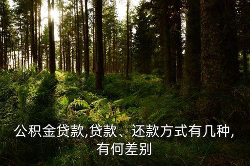 擔(dān)保公司直貸與委貸的區(qū)別