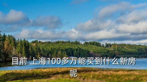 目前 上海100多萬能買到什么新房呢