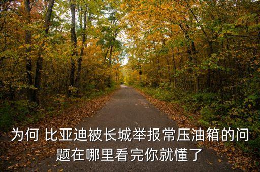 比亞迪公司污染,長(zhǎng)沙比亞迪工廠污染