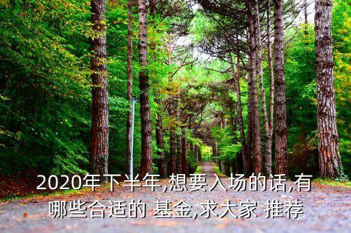 2020年下半年,想要入場(chǎng)的話,有哪些合適的 基金,求大家 推薦