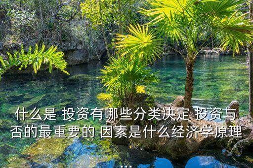 什么是 投資有哪些分類決定 投資與否的最重要的 因素是什么經(jīng)濟(jì)學(xué)原理...