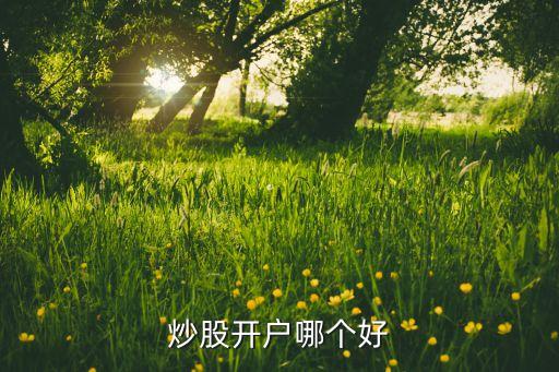 炒股開戶哪個(gè)好