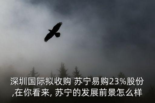 深圳國(guó)際擬收購(gòu) 蘇寧易購(gòu)23%股份,在你看來(lái), 蘇寧的發(fā)展前景怎么樣