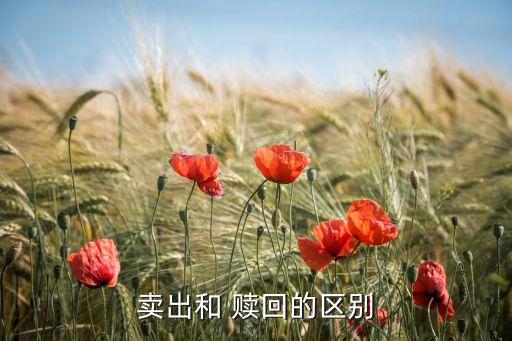 賣(mài)出和 贖回的區(qū)別