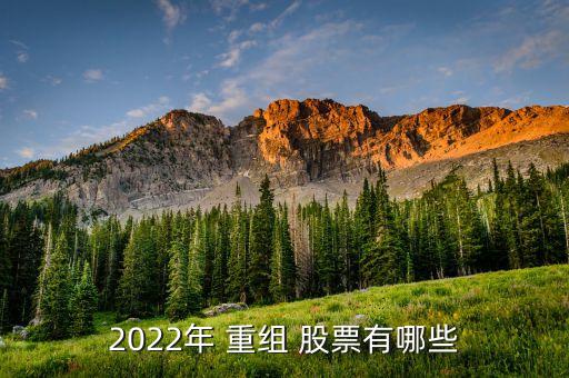 資產(chǎn)重組的股票有哪些,2022資產(chǎn)重組股票有哪些公司