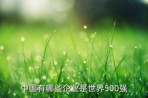 中國有哪些企業(yè)是世界500強