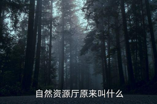  自然資源廳原來叫什么