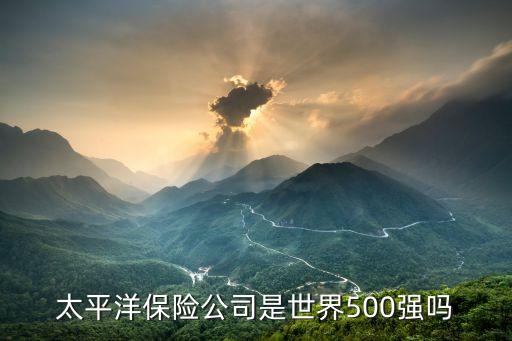 太平洋保險(xiǎn)公司是世界500強(qiáng)嗎