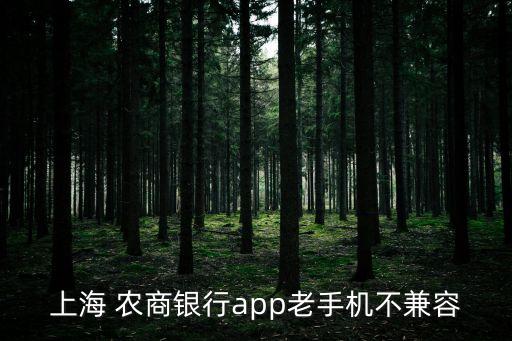 上海農商銀行系統(tǒng)升級暫停服務公告,銀行內部系統(tǒng)升級暫停服務幾天正常