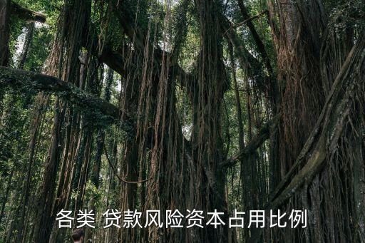 各類 貸款風(fēng)險資本占用比例