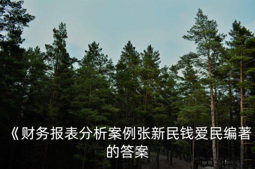 《財務(wù)報表分析案例張新民錢愛民編著的答案