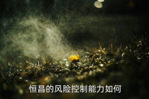  恒昌的風(fēng)險(xiǎn)控制能力如何