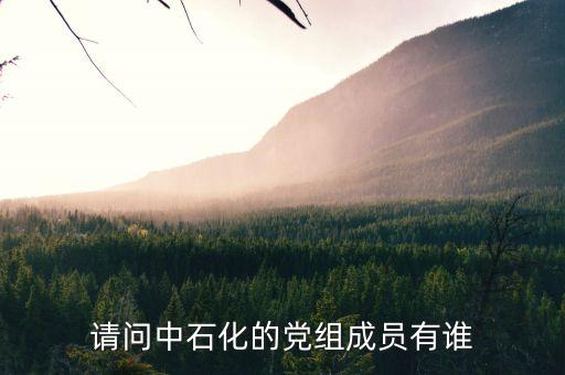 請(qǐng)問(wèn)中石化的黨組成員有誰(shuí)