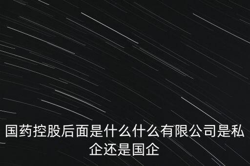 國藥控股后面是什么什么有限公司是私企還是國企