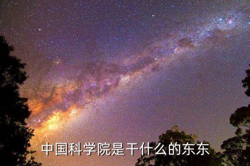 中國科學院是干什么的東東