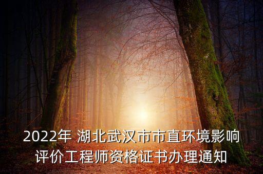 2022年 湖北武漢市市直環(huán)境影響評(píng)價(jià)工程師資格證書(shū)辦理通知