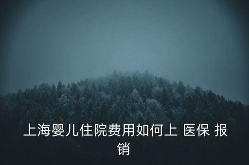  上海嬰兒住院費(fèi)用如何上 醫(yī)保 報(bào)銷(xiāo)