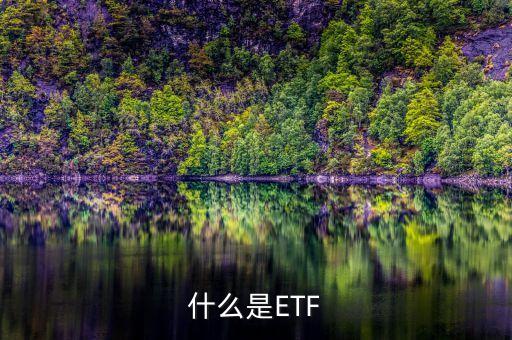 etf是什么類(lèi)型的基金,華夏恒生ETF基金類(lèi)型