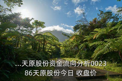 ...天原股份資金流向分析002386天原股份今日 收盤價