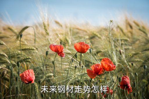 中國出口鋼鐵國際貿(mào)易,臨沂鋼鐵國際貿(mào)易有限公司