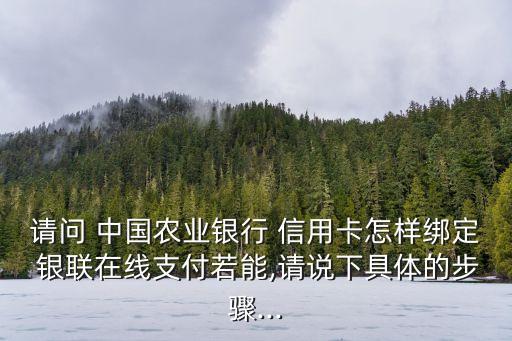 請問 中國農業(yè)銀行 信用卡怎樣綁定 銀聯(lián)在線支付若能,請說下具體的步驟...