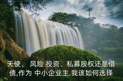 天使、 風(fēng)險 投資、私募股權(quán)還是借債,作為 中小企業(yè)主,我該如何選擇