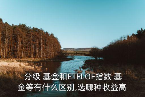  分級(jí) 基金和ETFLOF指數(shù) 基金等有什么區(qū)別,選哪種收益高