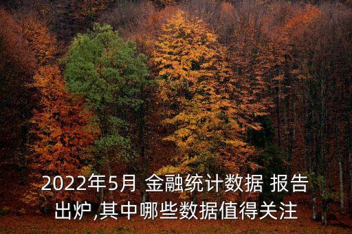 2022年5月 金融統(tǒng)計(jì)數(shù)據(jù) 報(bào)告出爐,其中哪些數(shù)據(jù)值得關(guān)注